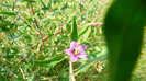 P1230900