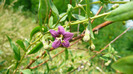 P1230904