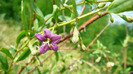 P1230905