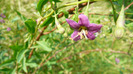 P1230909