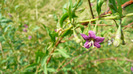 P1230910