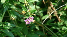 P1230923