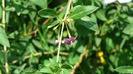 P1230926