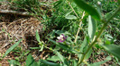 P1230935