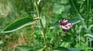 P1230938