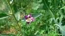 P1230939