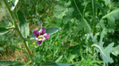 P1230940