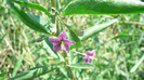P1230985