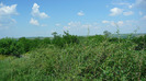 P1230989
