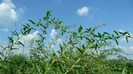 P1240001