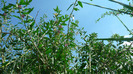 P1240007