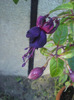 DSC00759