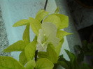 DSC00764