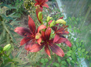 DSC00744