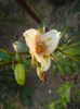 DSC00748