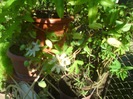 DSC00767