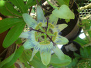 DSC00768