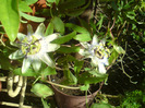 DSC00769