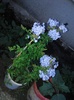 Photo038
