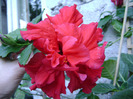 DSC06440