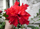 DSC06438
