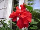 DSC06426