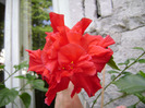 DSC06428