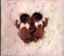 anne-geddes-little-angels