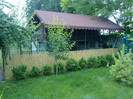 cotet de 5 * si buxus