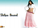 Love shilpa