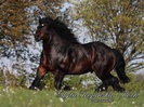 img9939h[1]