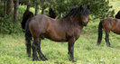 img17565[1]