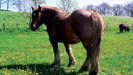 img17566[1]