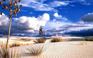 imagini_desktop_desert1