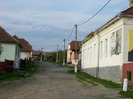 ULITA COCOROVENI din Palos in mai 2010.