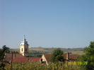 101_5529
