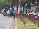 P6060036