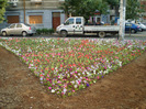 podul BASARAB IUNIE 2011