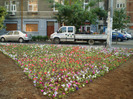 P6060049
