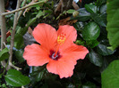 DSC06566