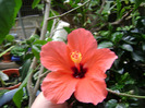 DSC06560