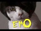 emo