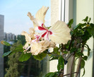 P1340525