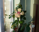 P1340523