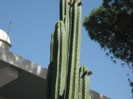 DSCF8085
