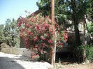 DSCF8091