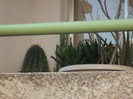 DSCF8094