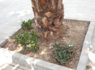 DSCF8120