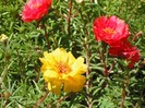 DSCF8130