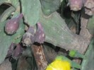 DSCF8134